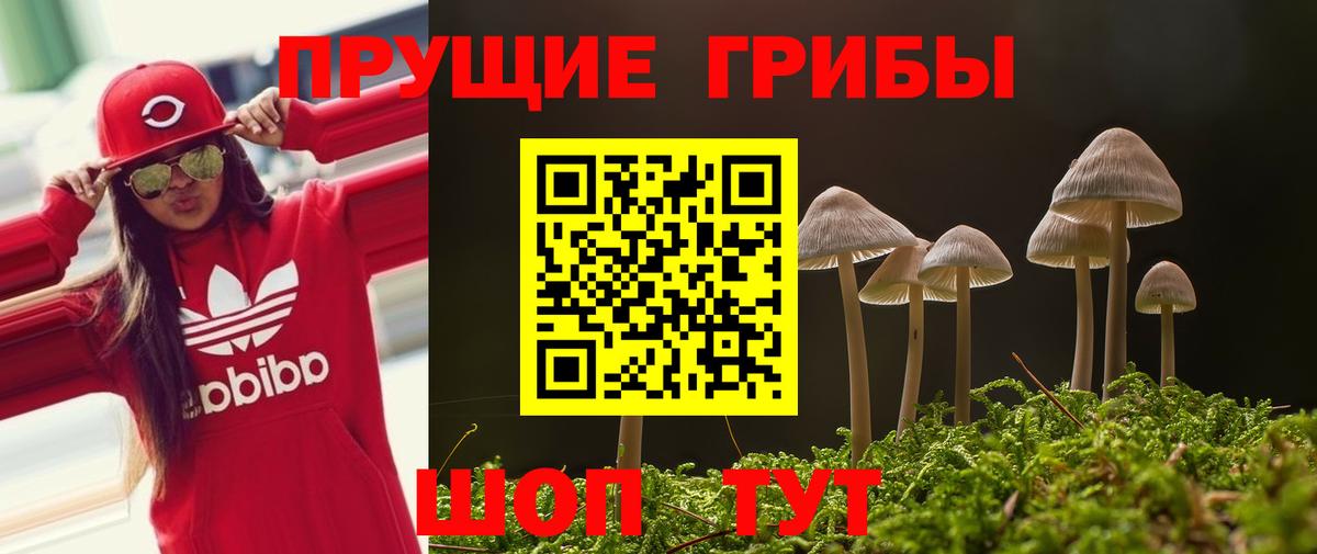 Можайск  Галлюциногенные грибы ЛСД  Вход с VPN 